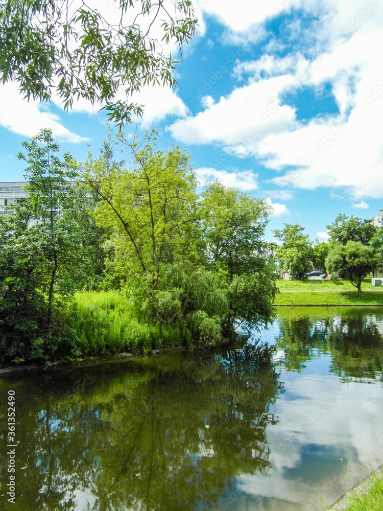 Beautiful summer landscape by the water surface on a Sunny summer day Beautiful summer landscape by the water surface on a Sunny summer day