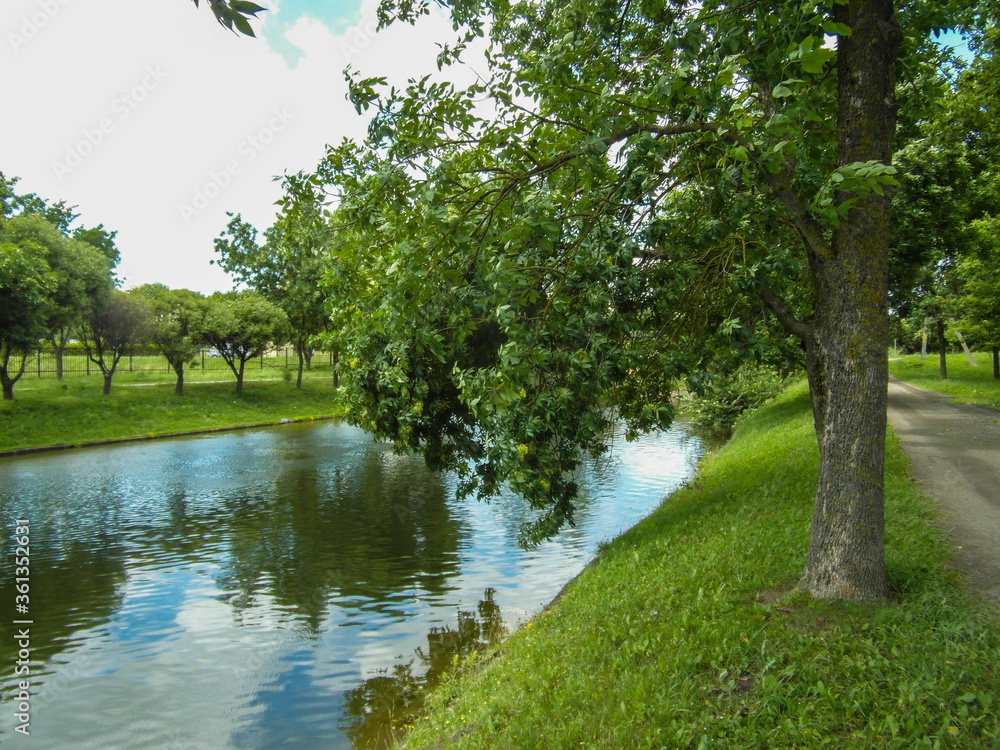 Beautiful summer landscape by the water surface on a Sunny summer day Beautiful summer landscape by the water surface on a Sunny summer day