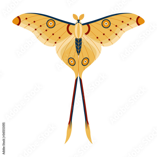 Colorful Tropical Butterfly Moth Icon in Cartoon