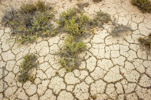 Sand with crackles and grass, very dry crackled desert soil. Texture background.