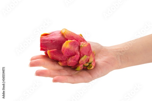 Sweet tasty dragon fruit or pitaya in woman hand isolated.