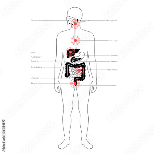 Pain in human body