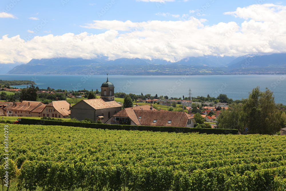 Panoramic view on the Leman lake from Mont-sur-Rolle