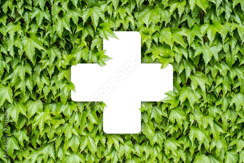 Medical cross on a background of green leaves