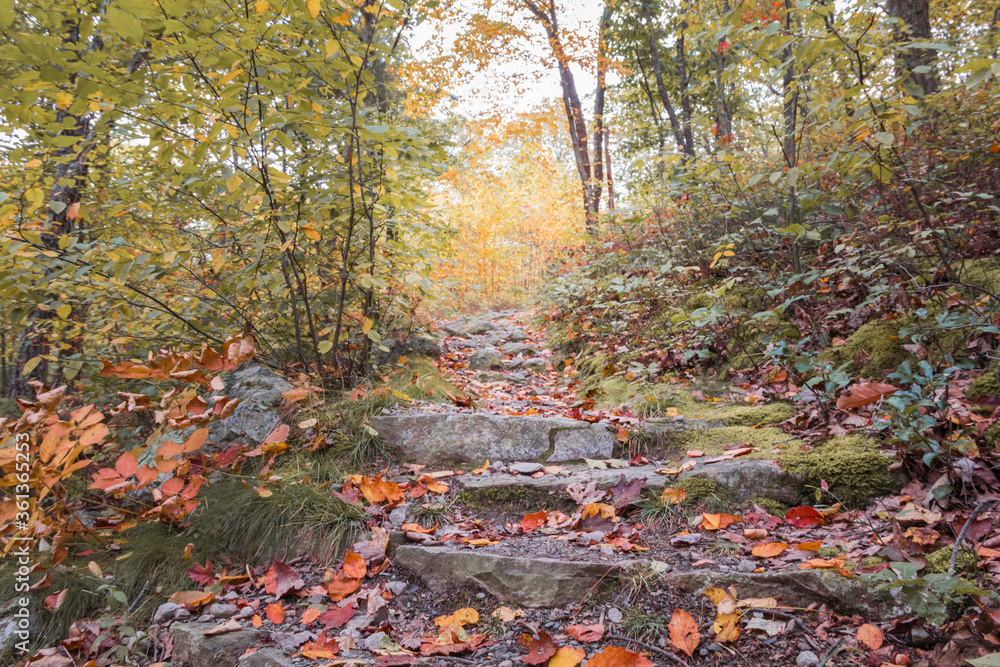 Appalachian Trail at High Point State Park NJ with brilliant fall foliage 