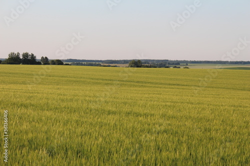 Сельское хозяйство