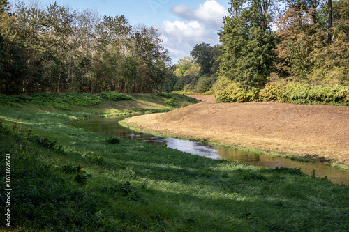 Wallpaper Mural View from the jungle-like Leipzig Riverside Forest with the rivers Weisse Elster and Luppe with wild river landscapes, Germany Torontodigital.ca