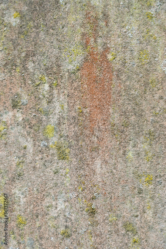 Wallpaper Mural Natural pattern and texture formed on an old slab of stone Torontodigital.ca