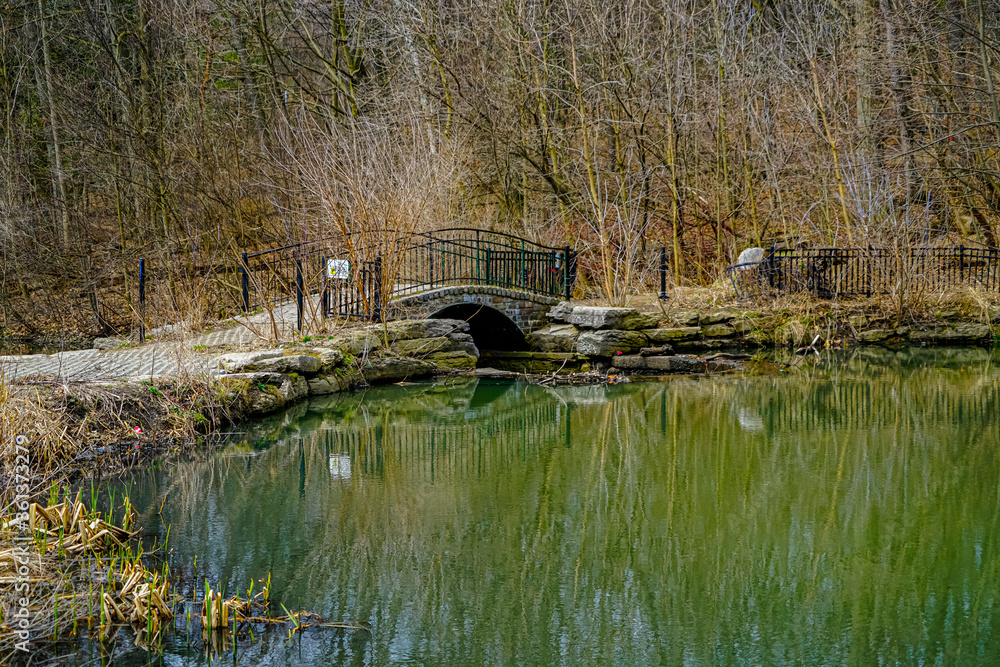 Obraz premium bridge