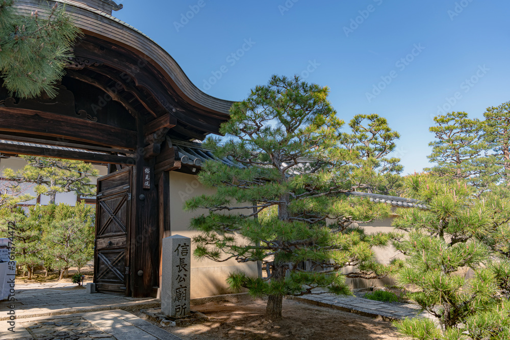 Fototapeta premium 京都 総見院の門前