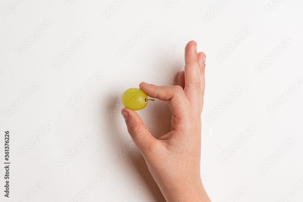 .Children's hand holds a green grape berry on a white background. .Children's hand holds a green grape berry on a white background.