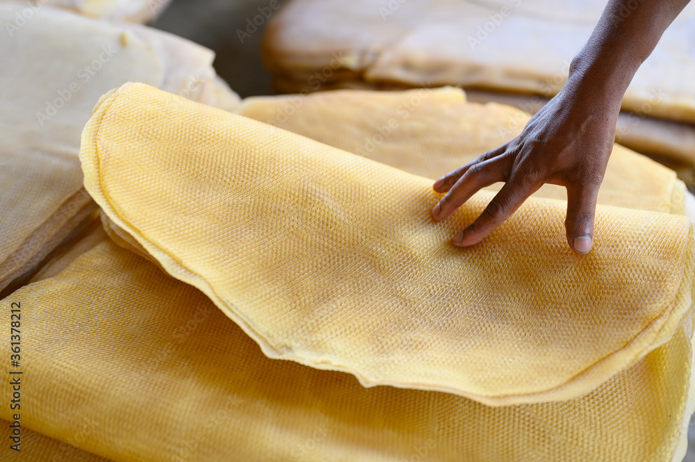 Para rubber sheet with farmer hand,Ribbed Smoked Sheets are coagulated