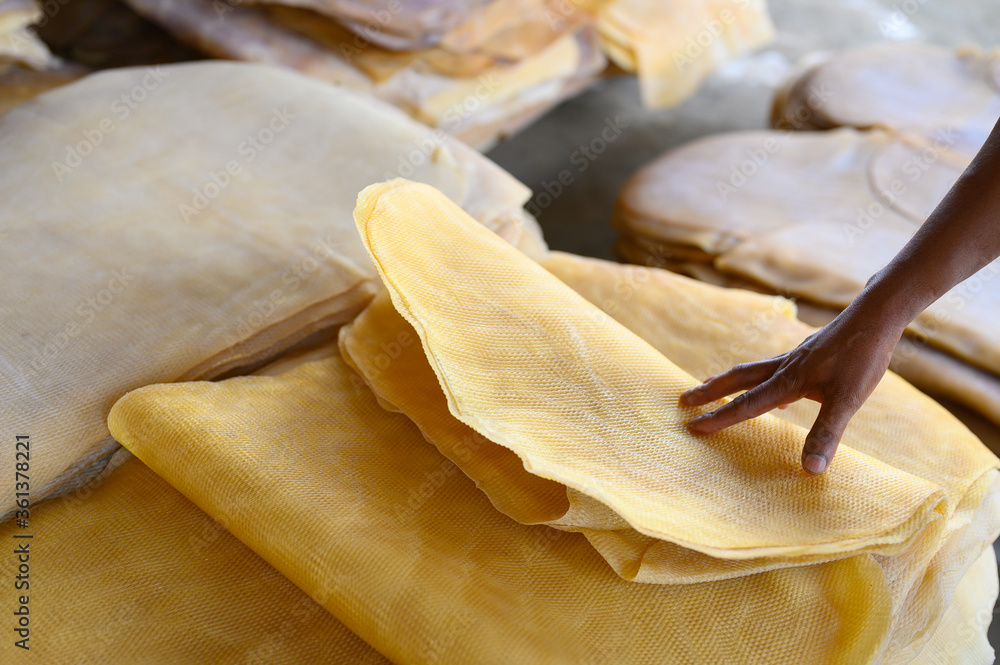 Para rubber sheet with farmer hand,Ribbed Smoked Sheets are coagulated