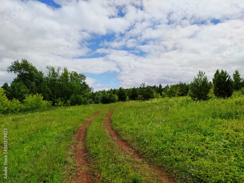 country road among green grass in a field near a forest against a blue sky with clouds