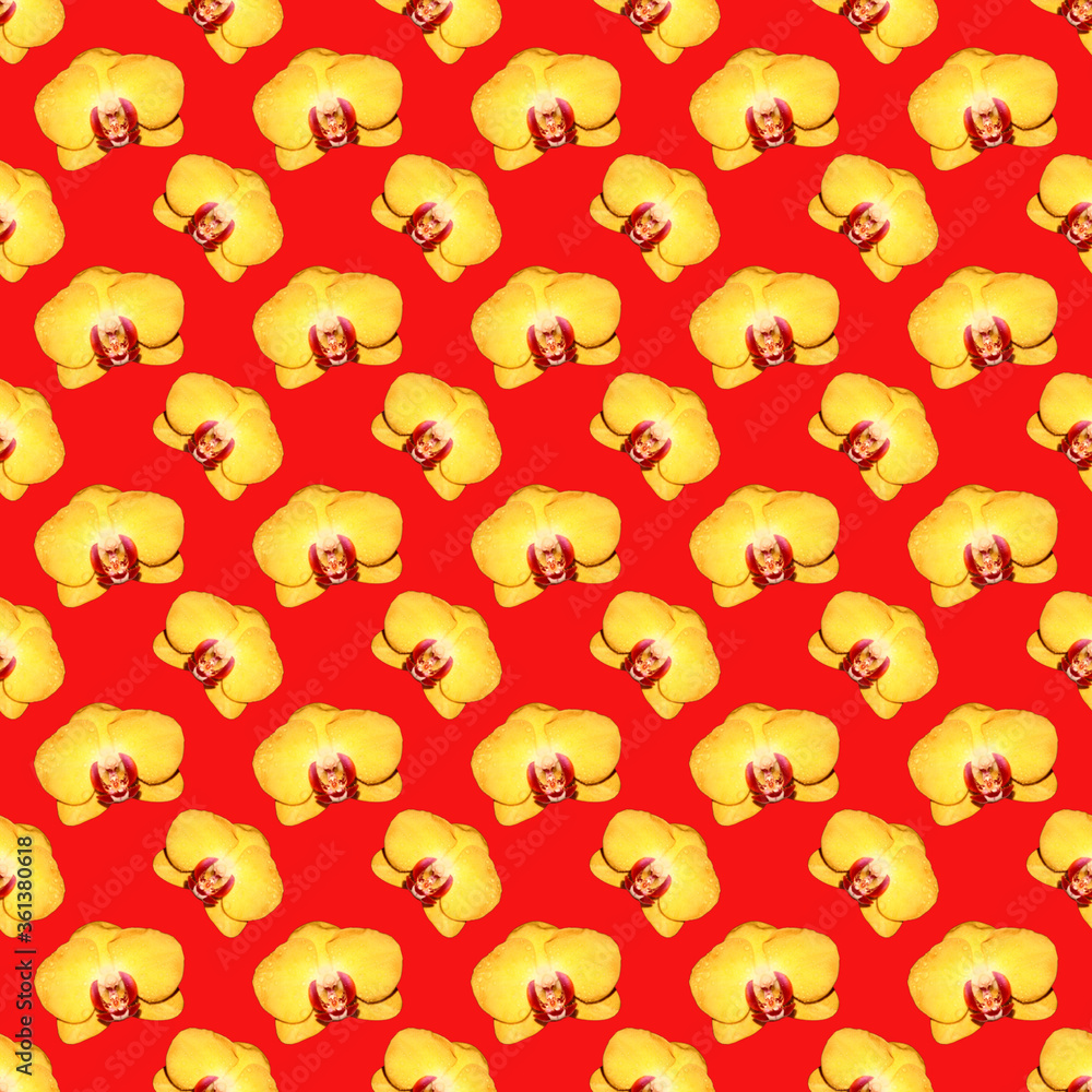 Seamless pattern of yellow Orchid flowers. Flowers for the background. Flowers on a red background. Seamless pattern of yellow Orchid flowers. Flowers for the background. Flowers on a red background.