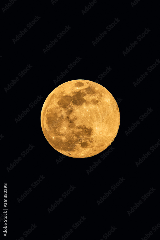 Obraz premium Full moon in the night