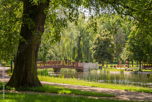 City park in the city of Zdunska Wola, Poland. photo