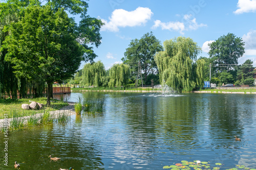 City park in the city of Zdunska Wola, Poland. photo