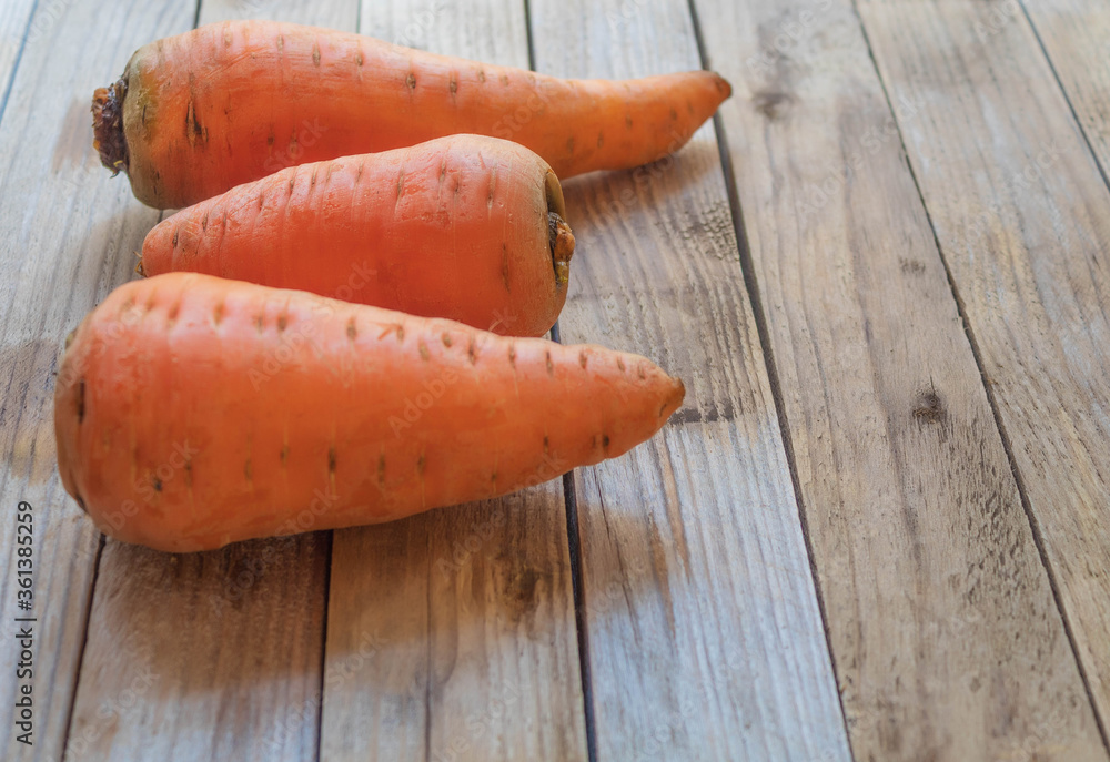 Fresh carrots are on the table: two of them are short, one slightly longer Fresh carrots are on the table: two of them are short, one slightly longer