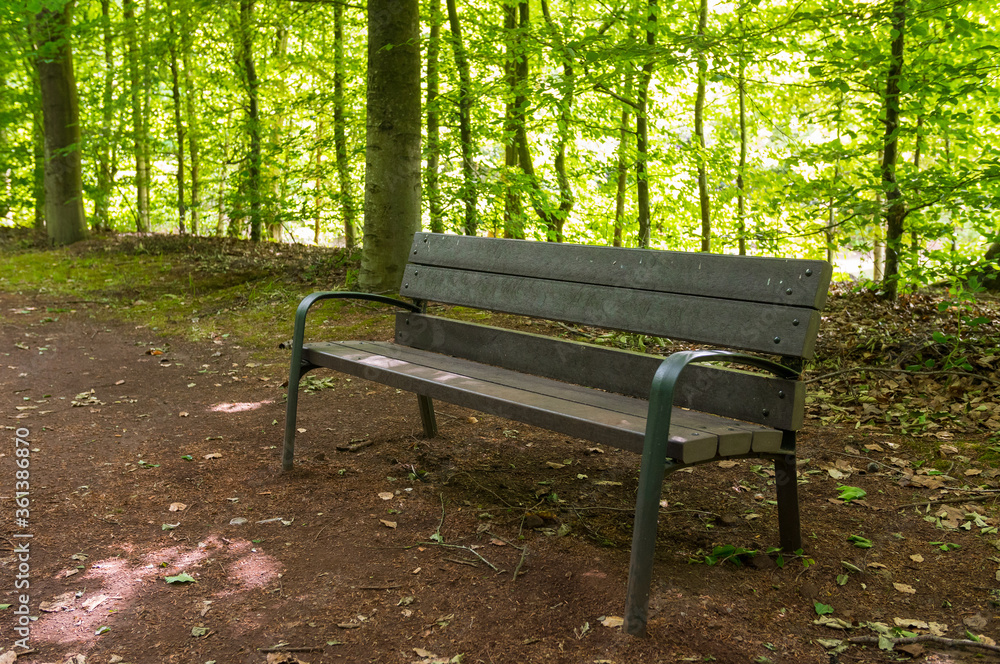Wooden bench in the middle of a beautiful wild forest. Green foliage. Luxurious peaceful nature. Gorgeous preserved landscape. Normandy, France.