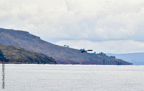 Titicaca Lake (Romanian: Lacul Frumos)-Peru 18 photo