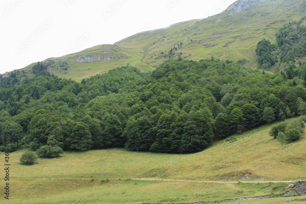Obraz premium Mountain in la Vall d'Aran / montaña en la Vall d'Aran