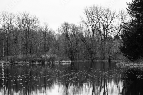 Black and white photo of a pond