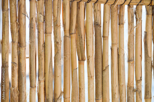 Bamboo Wall Background