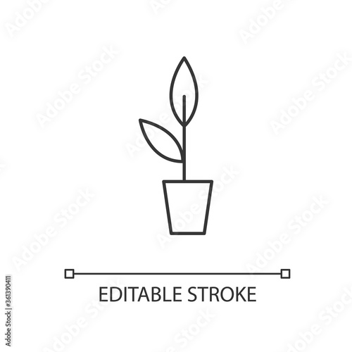 Potted plant linear icon. Growing sprout. Foliage for office. Decoration for house interior. Thin line customizable illustration. Contour symbol. Vector isolated outline drawing. Editable stroke