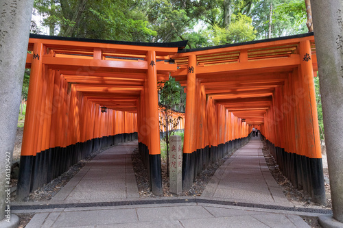 伏見稲荷大社 千本鳥居 -全国に約3万社ある稲荷神社の総本宮- photo