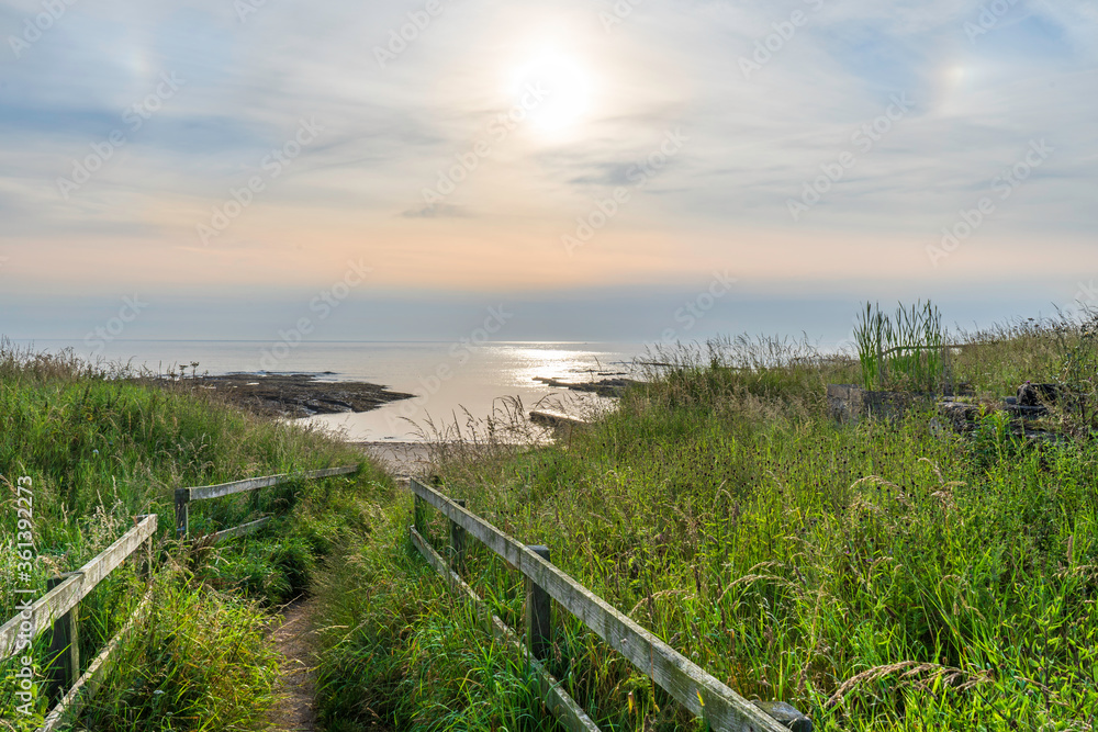 An Overgrown Path Running Down to The Beach and the North Sea from A Northumberland Village An Overgrown Path Running Down to The Beach and the North Sea from A Northumberland Village
