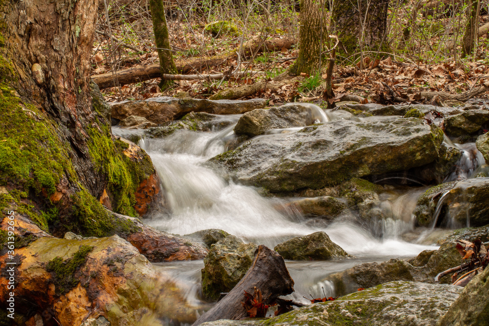 Naklejka premium Creek in the Woods 