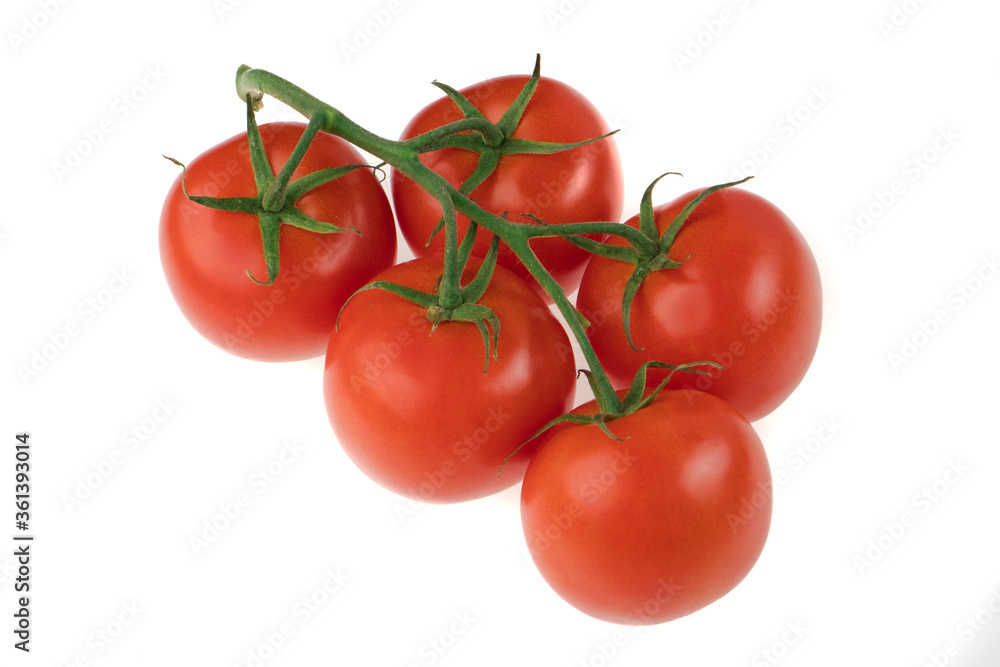 Branch with five tomatoes on a white background