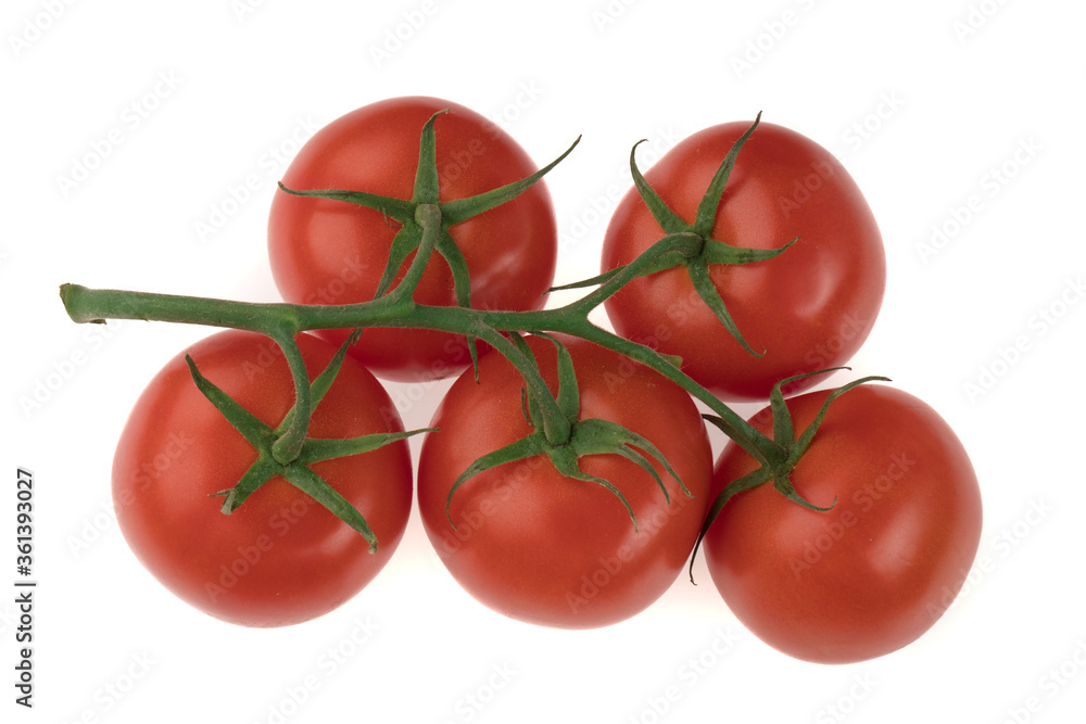 Branch with five tomatoes on a white background Branch with five tomatoes on a white background