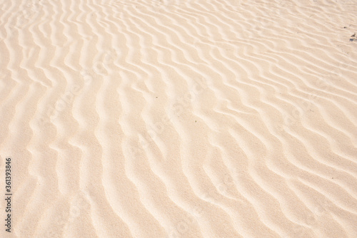 Golden sand in the dune  background of sand in the desert