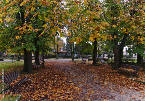 Rosalia de Castro Park in Lugo in autumn, with leaves on ground
