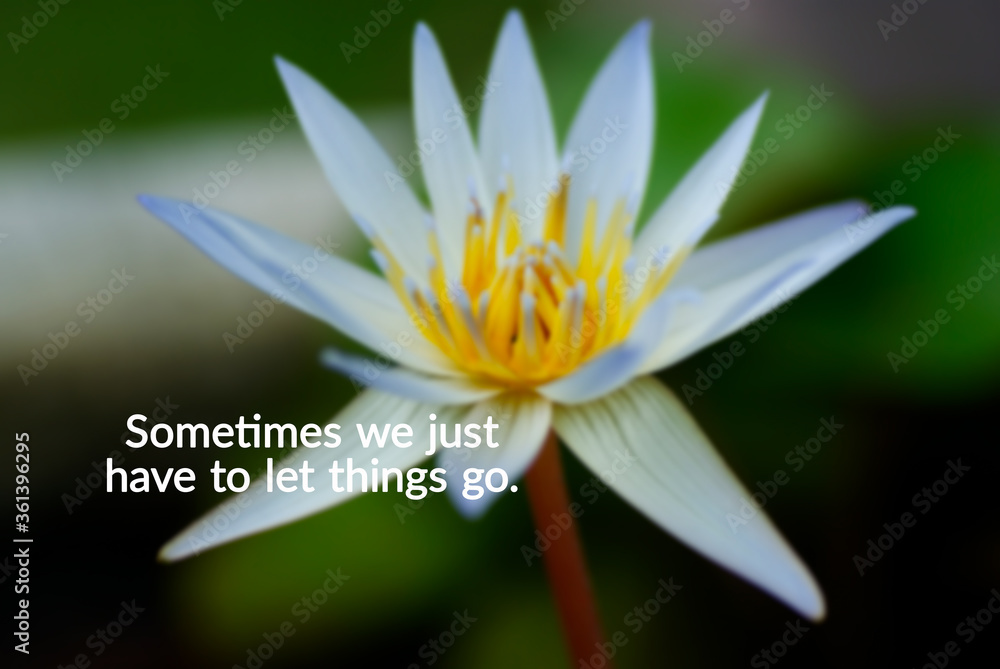 Life inspirational and motivation quotes - Sometimes we just have to let things go.