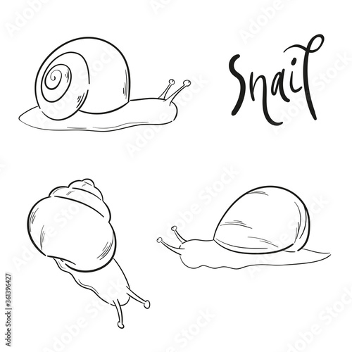 Cartoon minimalist snail character illustration set. Vector art with hand lettering isolated on white background. Line drawing for coloring book, children game, card, label or print.