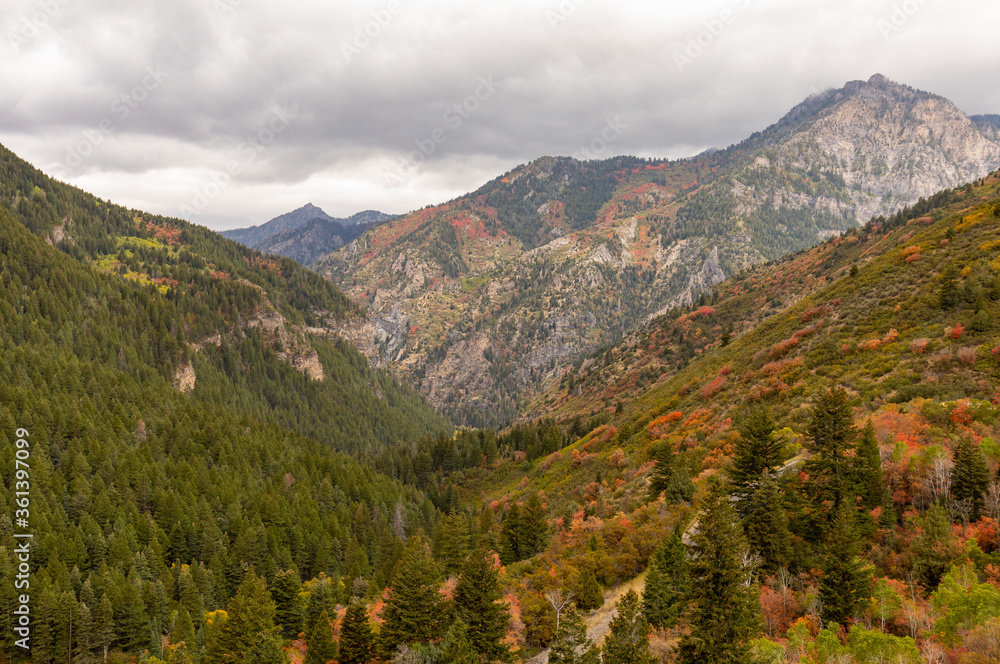Scenic LAndscape in the Utah Mountains in Autumn Scenic LAndscape in the Utah Mountains in Autumn