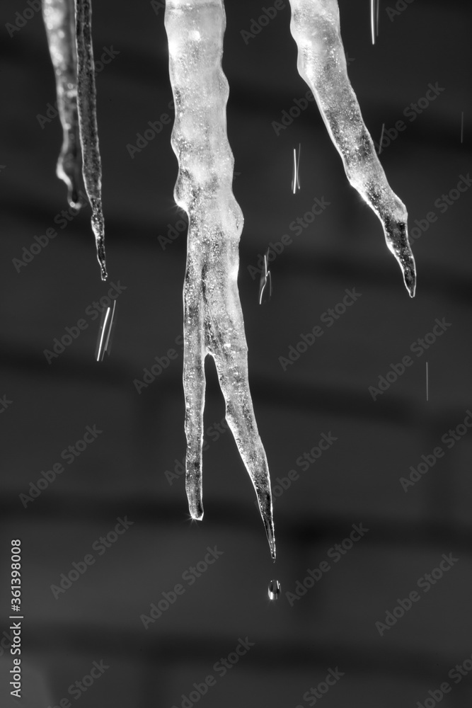 Icicle in the sunshine Icicle in the sunshine