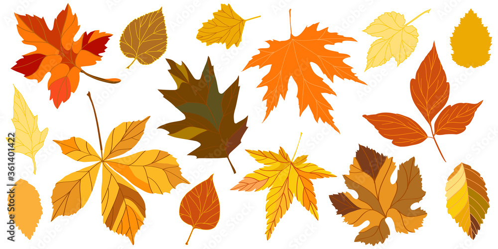 Fototapeta premium yellow autumn falling leaves