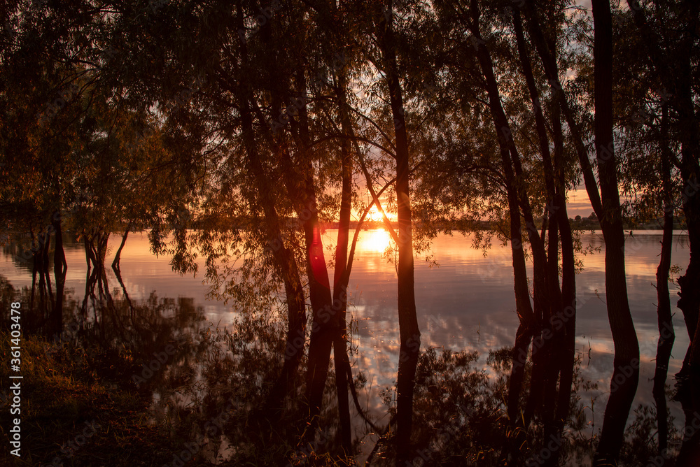 A magnificent sunset over the lake was photographed through the trees.