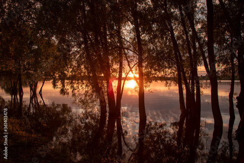 A magnificent sunset over the lake was photographed through the trees.