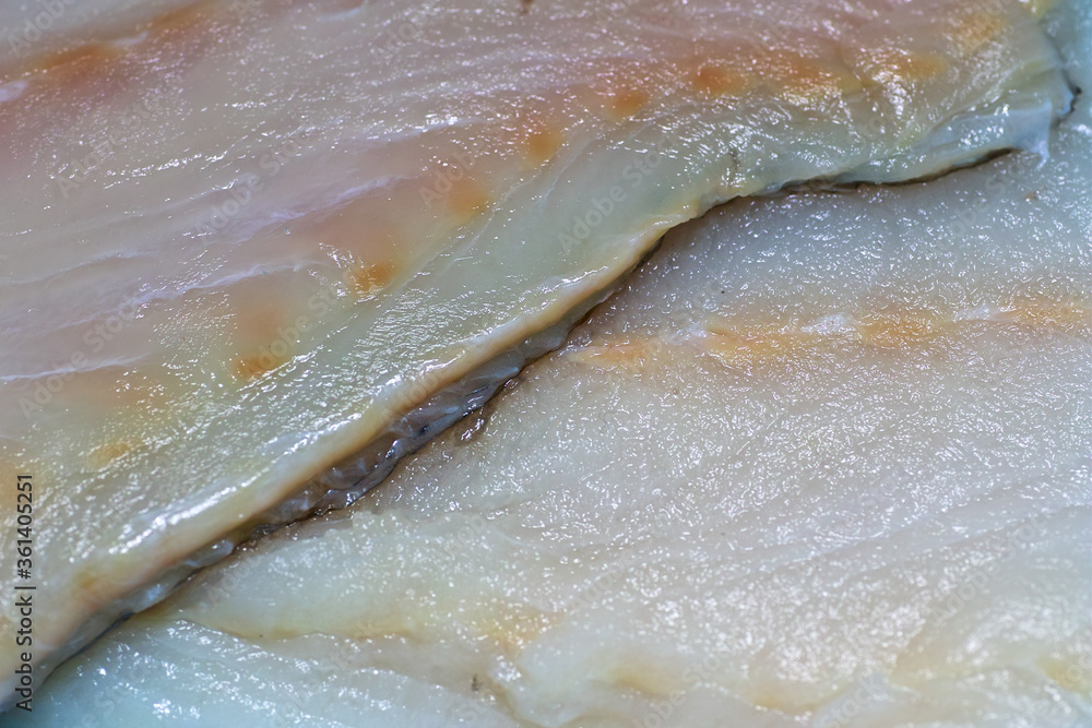 Codfish. Codfish.