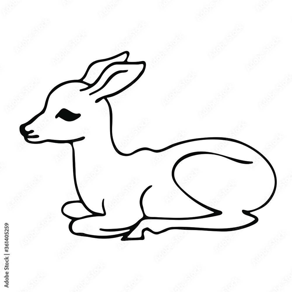 Hand drawn vector illustration of deer. Black and white art isolated on white. Hand drawn vector illustration of deer. Black and white art isolated on white.