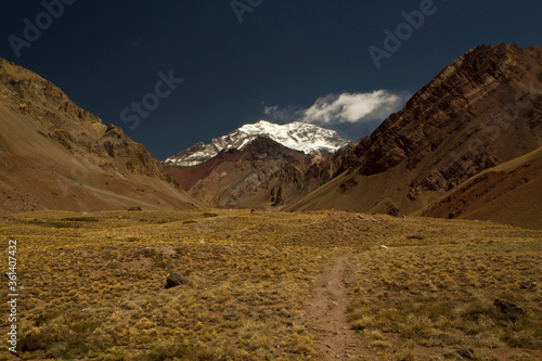  Seven summits. Hiking. Path across the valley and golden meadow, leading into mountain Aconcagua, highest peak in America.