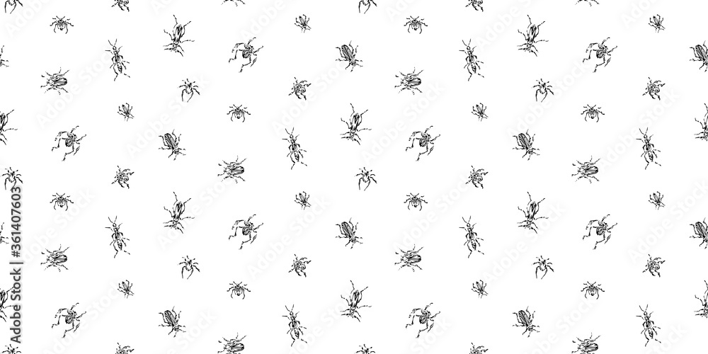 Hand drawn seamless pattern with beetles collection. Sketch style vector illustration. Black isolated bugs insect on white endless background Hand drawn seamless pattern with beetles collection. Sketch style vector illustration. Black isolated bugs insect on white endless background