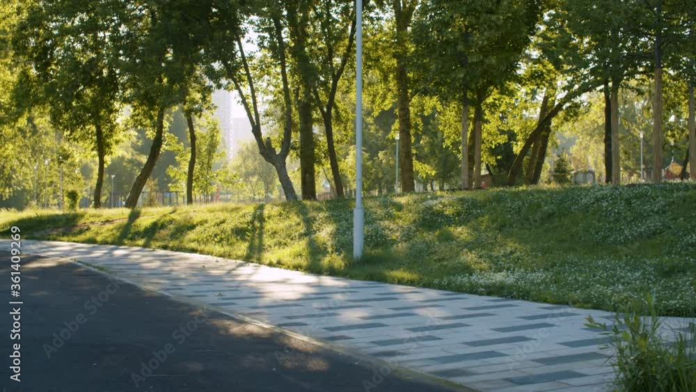 Tiled road in the park. No people, summer day, steadicam shot, Natural background, city life Tiled road in the park. No people, summer day, steadicam shot, Natural background, city life