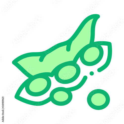 raw fresh soy bean icon vector. raw fresh soy bean sign. color symbol illustration