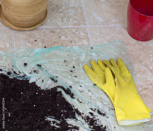 Foto Planting a flower.